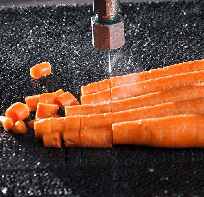 Food Processing
